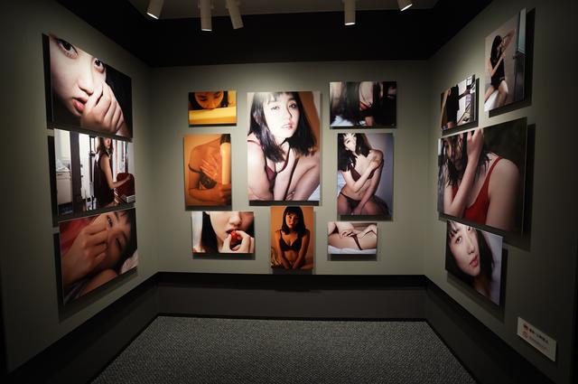 画像2: 今回の展示作品の一部より
