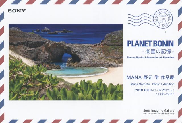 画像6: MANA 野元 学「PLANET BONIN – 楽園の記憶 -」
●ソニーイメージングギャラリー銀座●6月8日~21日