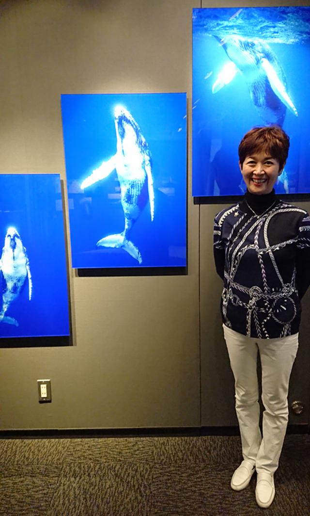 画像: 「クジラの子供は好奇心が強いので人を恐がらない。注意が必要です」(まつもと)