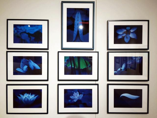 画像: 「Blue Lotus」こそ、内藤忠行!!