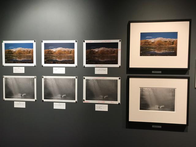 画像: ▲同じ作品でもレタッチによりプリントでこれだけ印象が変わるという展示。