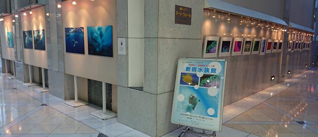 画像: 歌舞伎町をズンズン新大久保方面に進んで行った先にあるハイジア1Fのオープンスペース。冷房も効いているし、解放感満点! www.hygeia.jp