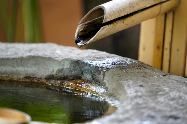画像: でもって(最短撮影距離割れのため)バックしながらの水平撮り。絞り優先AE(F2.8 1/1600秒) ISO6400