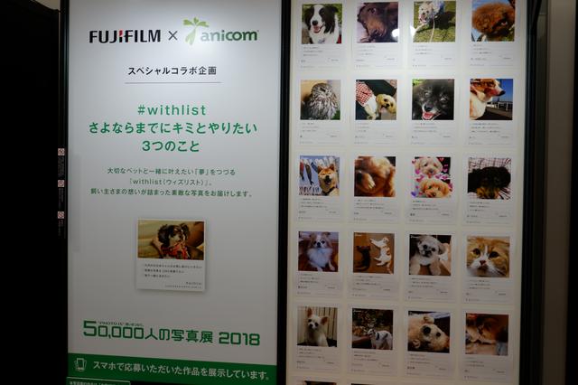 画像1: 様々なジャンルの写真が楽しめます