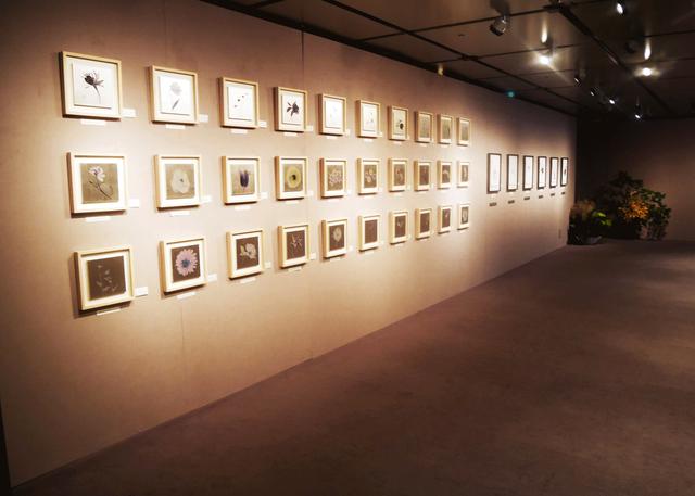 画像: 織作峰子展『恒久と遷移の美を求めて』開催中。アクリルに金箔やプラチナ箔を施し、そこに写真を焼き付けた独特の風合いをお楽しみください。