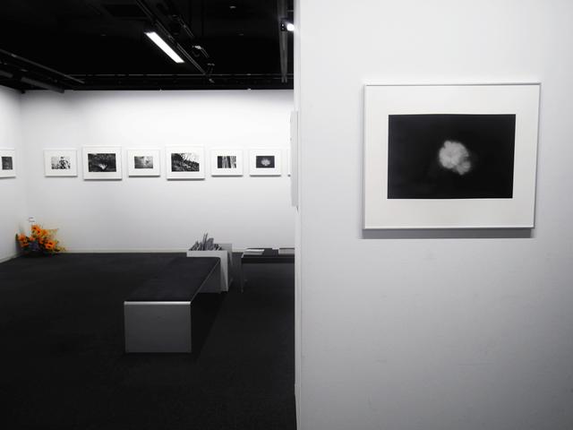 画像: 平林達也写真展『白い花-Desire is cause of all thing』。写真としっかり真面目に向き合ってきた作者の作品には風格と風合いが漂います。