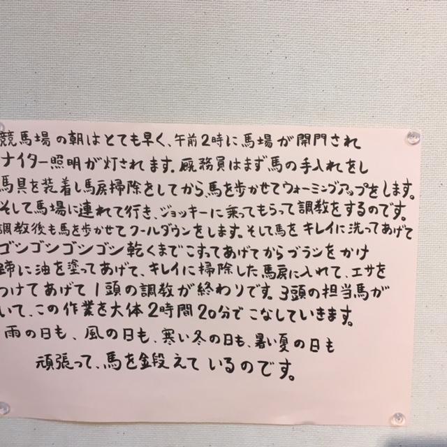 画像2: ヒト&ネコ&競走馬の日々の暮らし。