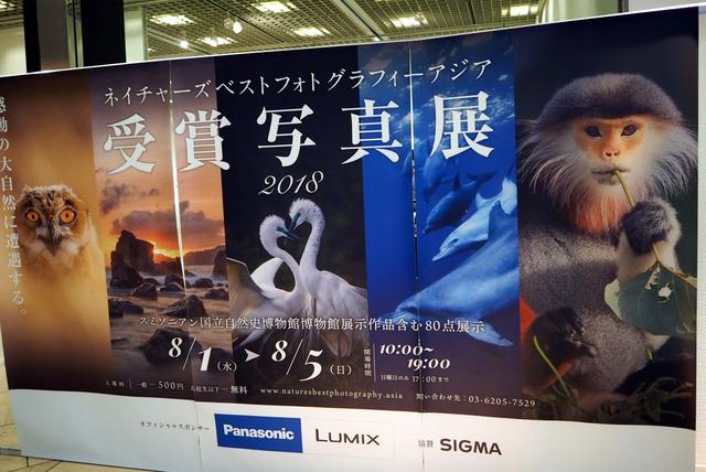 画像: 東京芸術劇場5Fにあるギャラリー1にて開催中。見応えRのある写真展だ。 www.geigeki.jp