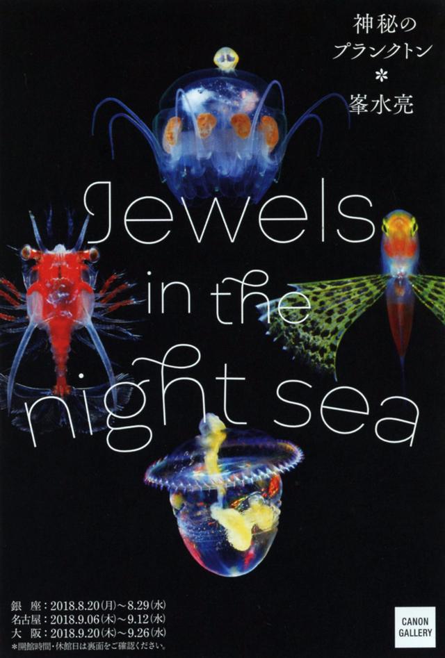 画像2: 峯水 亮 写真展「Jewels in the night sea 神秘のプランクトン」
●開催中~2018年8月29日(水) キヤノンギャラリー銀座