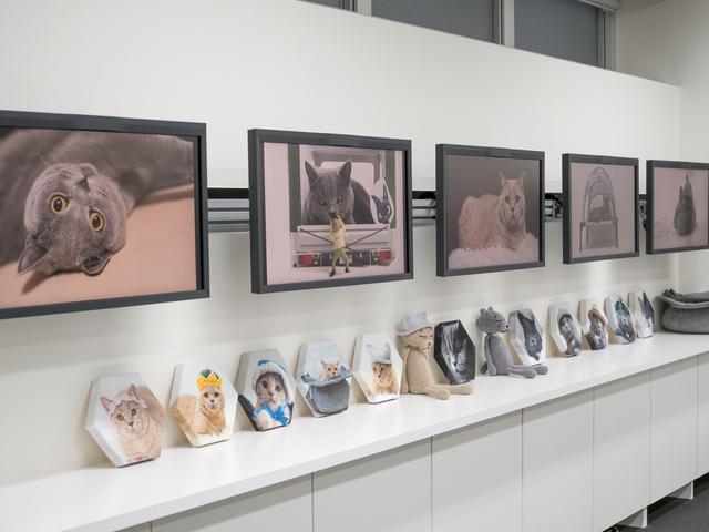 画像: 猫好きは必見!
#ねこまみれ4 坂井田富三 写真展
は9月15日まで
