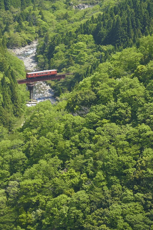 画像: ■ソニーα7R Ⅲ FE 100-400mm F4.5-5.6 GM OSS 絞りF7.1 1/500秒 WB:太陽光 ISO800 PLフィルタ ー使用