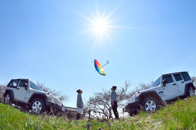 画像: すばらしい構図です。玄人はだしの見本のようですね。