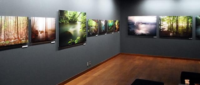 画像2: 岩木 登 写真展「光は曲がって届く~南八甲田」
●開催中〜2018年10月3日 キヤノンギャラリー銀座
