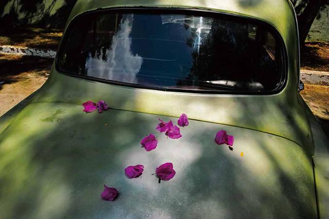 画像11: それでは乗り物の素敵な写真はどうでしょう
~2019カレンダー素材写真特集 飛行機・車・鉄道~