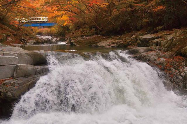 画像30: それでは乗り物の素敵な写真はどうでしょう
~2019カレンダー素材写真特集 飛行機・車・鉄道~
