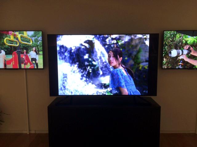 画像: 作品はソニー製テレビ「ブラビア」49インチでも見られます。