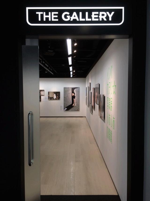 画像: ■会場:ニコンプラザ新宿 THE GALLERY 1+2 新宿区西新宿1-6-1 新宿エルタワー28F TEL03-3344-0565 ■会期:開催中 ~11月26日(月) ※同プラザ大阪 THE GALLERY 12月20日~2019年1月9日