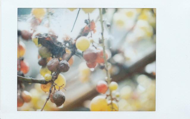 画像5: 河野鉄平、コムロミホ、鈴木さや香、福井麻衣子、4人のグループ展「 Hello! Hello! Me! 」
●2018年12月12日~12月23日 会場:T.I.P 72Gallery