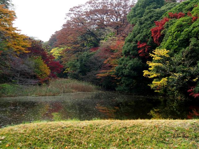画像3: 皇居 乾通り一般公開は12月9日まで!!