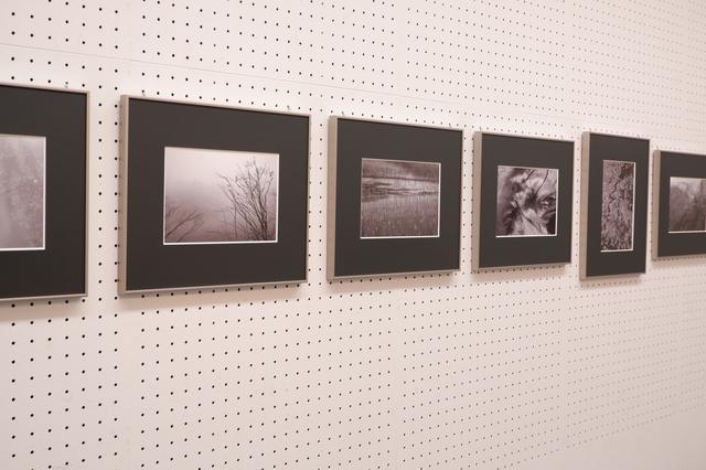 画像2: 敏龍彦写真展「水景色」 ~12月16日まで
埼玉県立近代美術館
