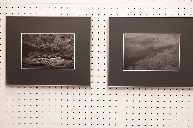 画像3: 敏龍彦写真展「水景色」 ~12月16日まで
埼玉県立近代美術館