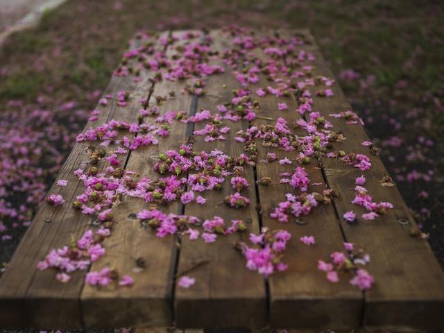 画像: 善本喜一郎 写真展 JINDAIJI Part 2 The Four Seasons「身近な絶景」が新宿オリンパスギャラリーで開催中!