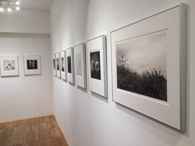 画像1: 千代田路子写真展『幾へにも-ふたつの旅ひとつの物語』は6日間だけの短期開催です。独特の作風と和紙への情感溢れるプリントが鑑賞者を魅了します。