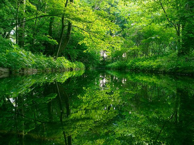 画像: 「JINDAIJI Part 2」−The Four Seasons「身近な絶景」−より
