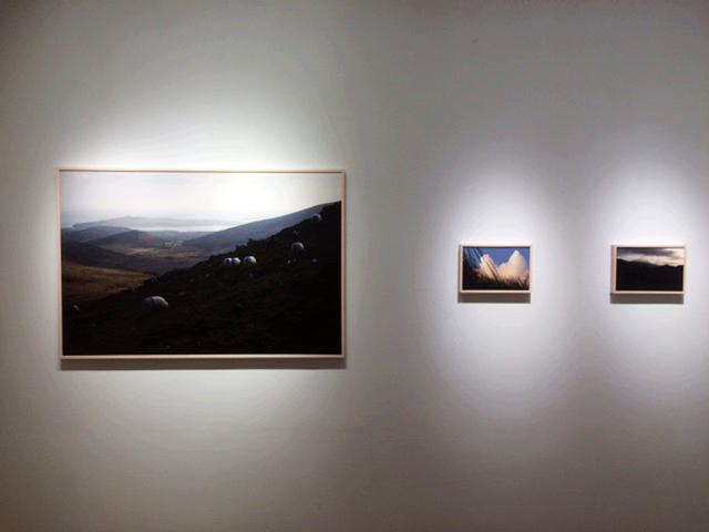 画像2: 岡嶋和幸作品展『風と土 Wind and Earth』は、アイルランドの情景に迫っています。会期中は無休ですので、是非お越しください。