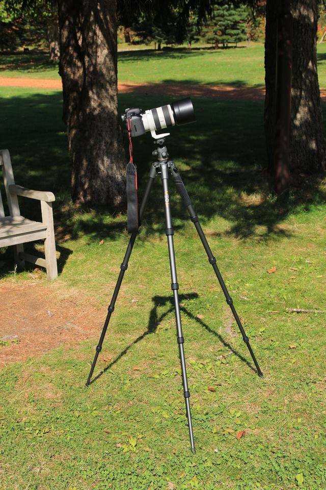 画像: EOS 7D Mark ⅡとEF70-300mm F4-5.6L IS USMの組み合わせでも問題ありませんでした。