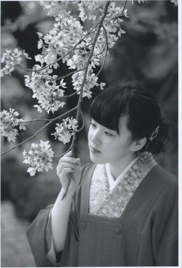 画像: タイトルのつけ方で写真の印象が変わります。