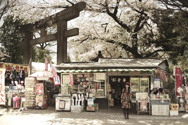 画像1: すべてが懐かしい 東照宮第一売店