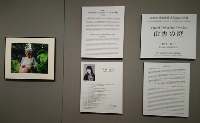 画像: 野村恵子