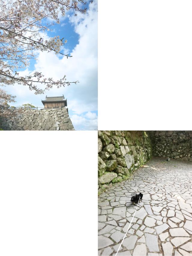 画像1: 鴻臚館跡地は福岡城址内に位置しとうと