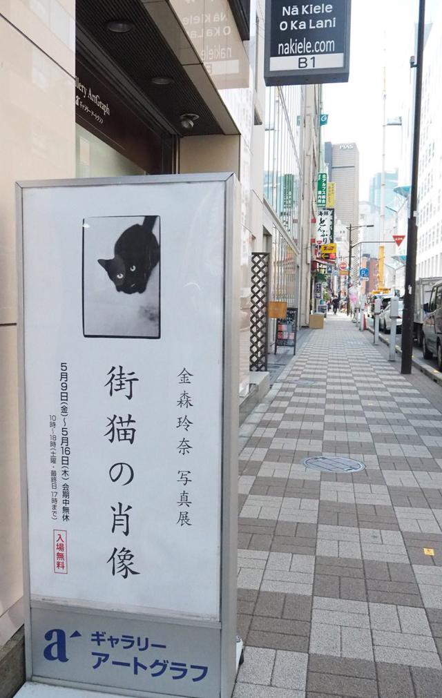 画像: 金森玲奈