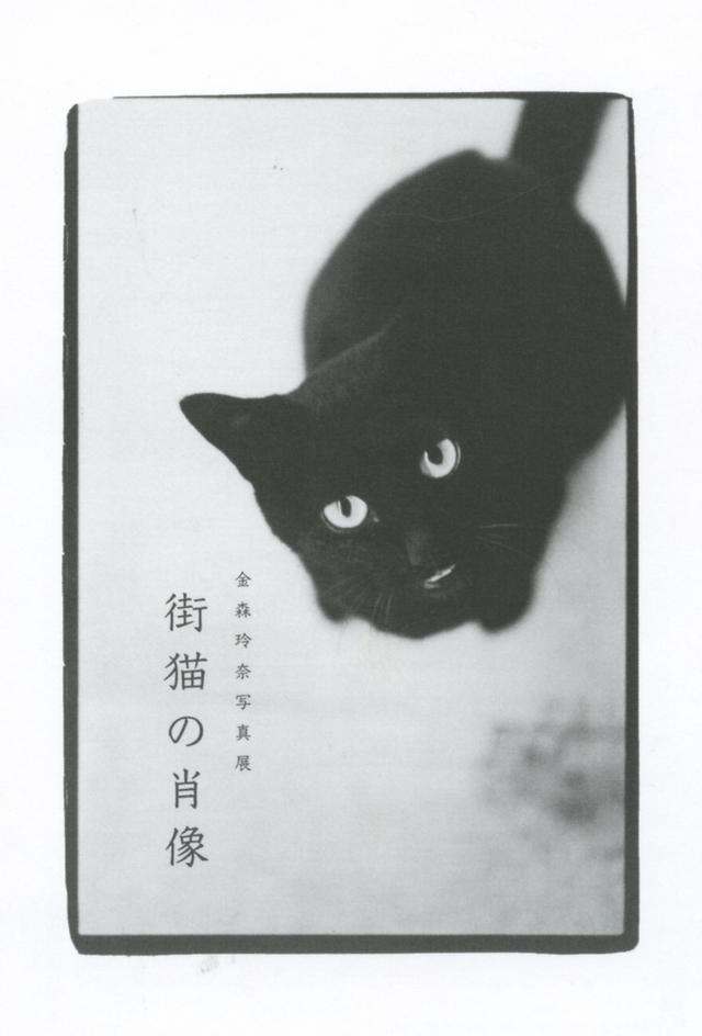 画像2: 金森玲奈 写真展「街猫の肖像」
●開催中~2019年5月16日(木)●ギャラリー・アートグラフ
