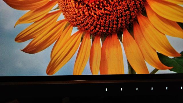 画像3: プリンターで印刷した写真がPCモニターと違いすぎる状況を解決したい
