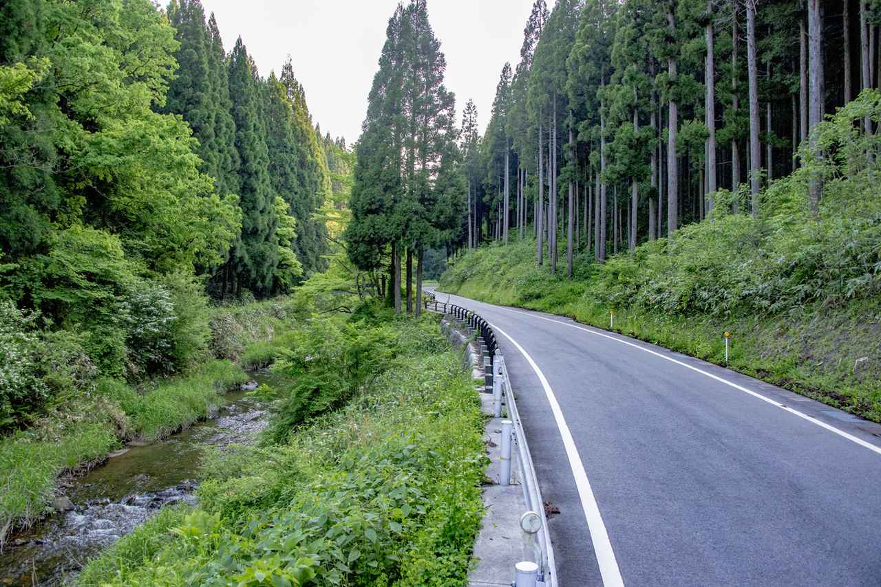 画像: 右手の山にヒメボタル、左手の川にゲンジボタルが見られます。