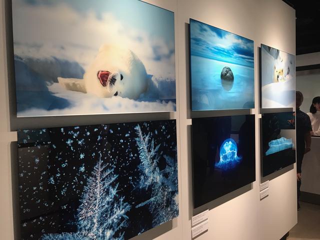 画像: ▲写真展の様子はこちら。