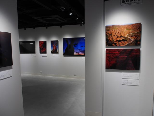 画像: 撮影はG9 PROとS1Rがメイン。ほとんど画像処理ナシの撮って出しらしいっす。
