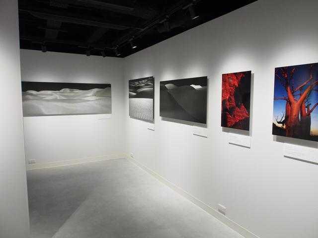 画像: 実はねぇ、S1Rで撮ったモノクロ作品がこれまたカッコいいっす!