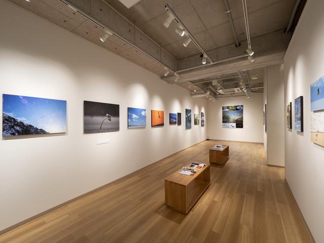 画像: Fledged.の展示風景