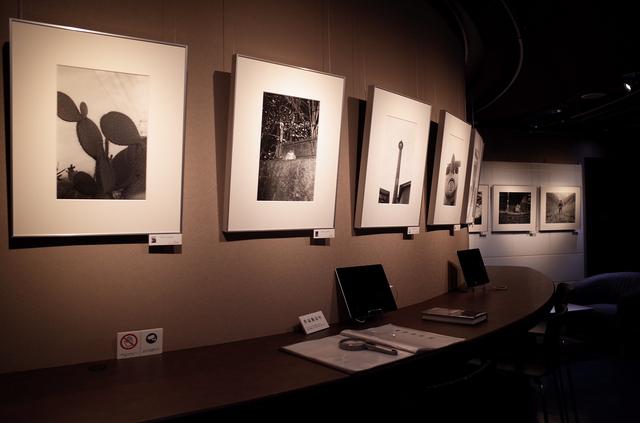 画像: 白石ちえこさんの展示作品より(写真提供:リコーイメージングスクエア銀座)