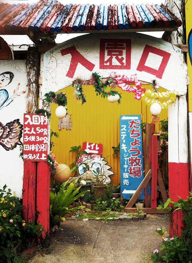 画像1: 展示作品より