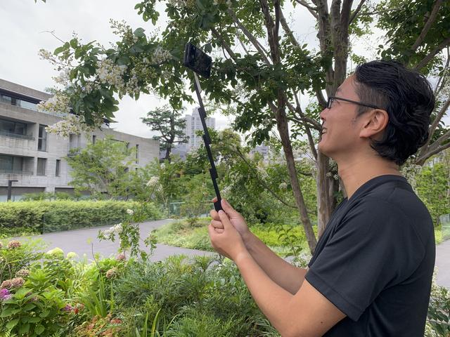 画像3: 実際に撮影してみました。