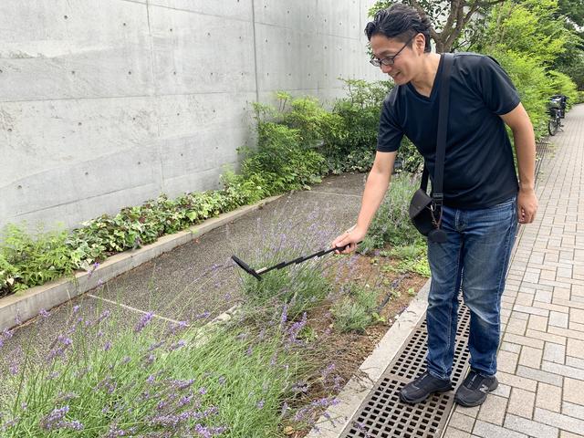 画像6: 実際に撮影してみました。