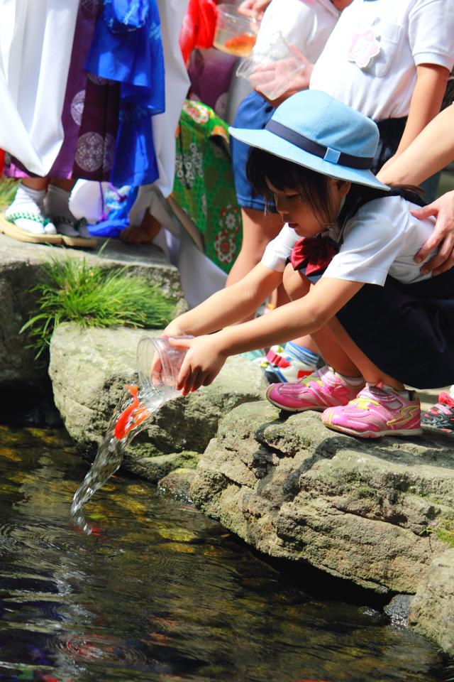 画像4: 博多三大祭のひとつ放生会