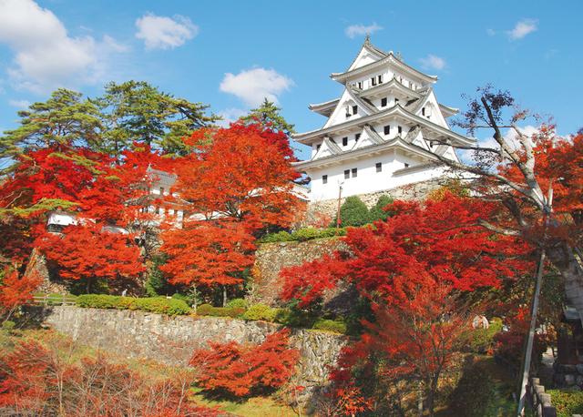 画像: 日本一美しいと言われる白亜の山城を取り囲む紅葉