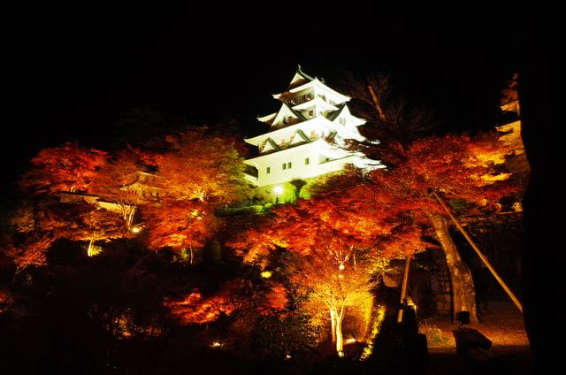 画像: ライトアップされた城と紅葉は妖しくも美しい