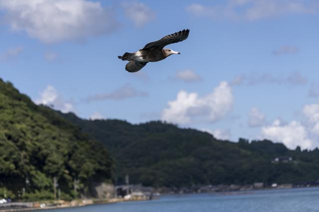 画像: ■ソニーα7R Ⅳ FE 100-400mm F4.5-5.6 GM OSS (100mm相当) 絞りF5.6 1/2000秒 ISO200